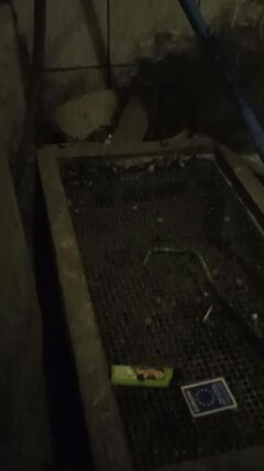 .VID_20221028_190426.jpg