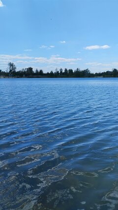 IMG_20230511_125338.jpg