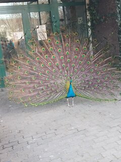 IMG_20220308_152257.jpg