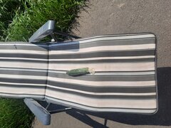 20230513_134313.jpg