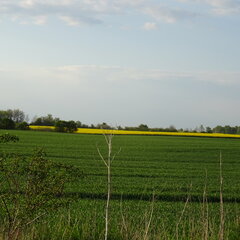 DSC01266.JPG