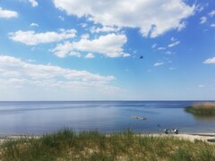 IMG_20230513_123959.jpg
