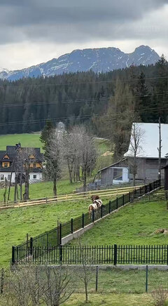 Foto1.jpg
