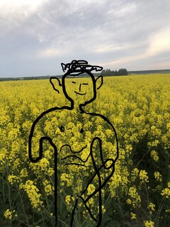 Chyba pszczoła mnie ugryzła w …. No właśnie, gdzie?
