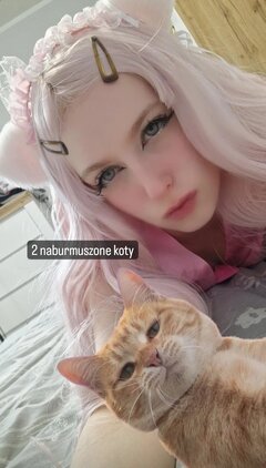 Naburmuszone_koty.jpg