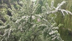 20230516_161502.jpg