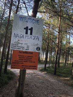 IMG_4651.jpeg