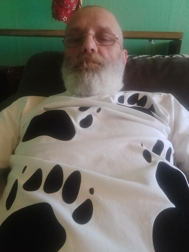 bears64