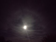 IMG_20230504_220858154.jpg