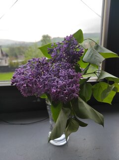 IMG_20230519_184908.jpg