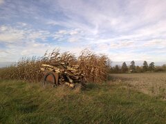 28102013132.jpg