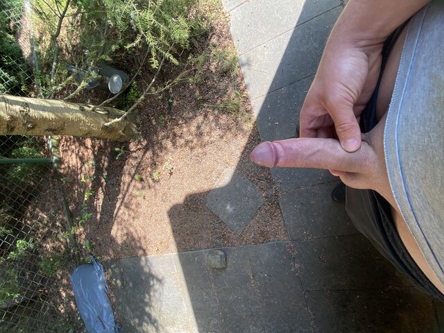 Wmrex99