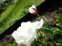 IMG_20230520_154047.jpg