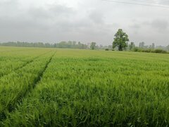 IMG20230515144806.jpg