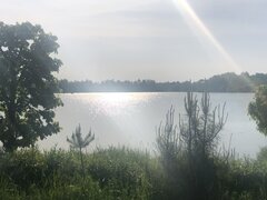 IMG_7181.jpeg
