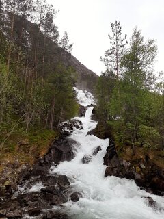 20230517_084004_01.jpg