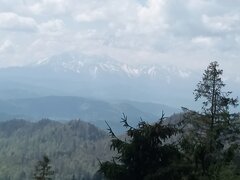 20230521_114318.jpg