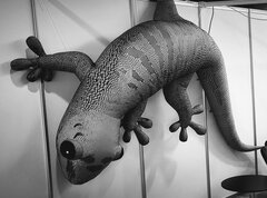 20230518_133106~2.jpg