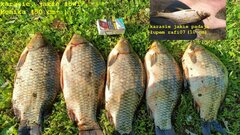 IMG-20230523-WA0002.jpg
