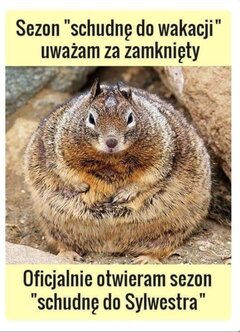 IMG_8394.jpeg