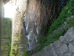 IMG_20230527_172651.jpg