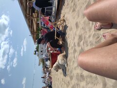 IMG_20230528_133856136.jpg
