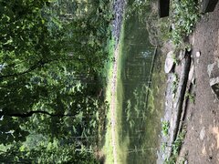 IMG_2779.jpeg