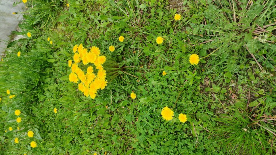 IMG-20230513-WA0007.jpeg - JP73