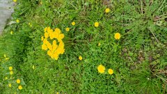 IMG-20230513-WA0007.jpeg