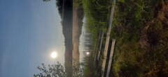 20230528_061808.jpg