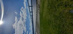 20230429_150024.jpg