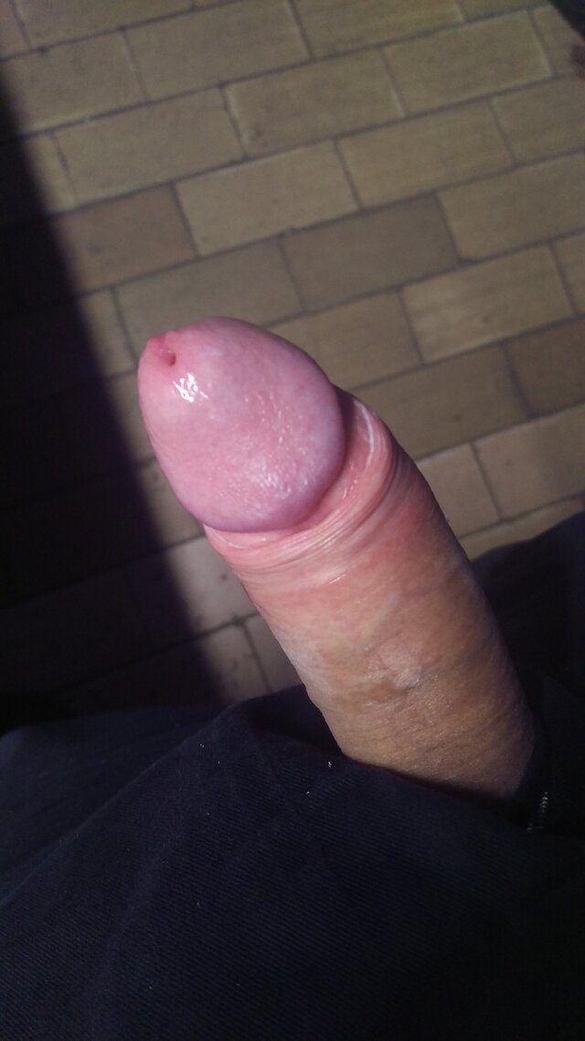 Tygryseekp