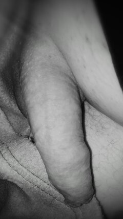 3FC939E5-83CA-4D68-8E59-B03490253A2B.jpeg