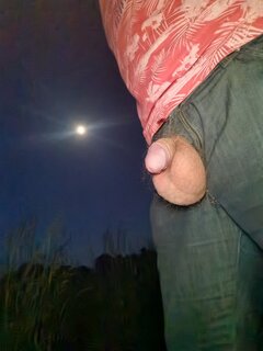 1685477822727.jpg