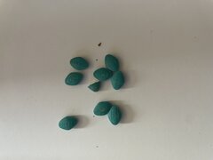 IMG_2005.jpeg