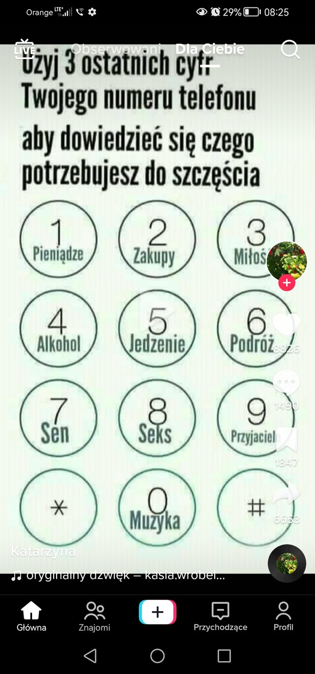 PindoL69