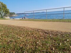 20230601_182456.jpg