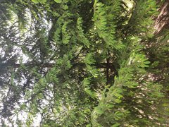 IMG_20230602_163900.jpg
