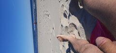 20230603_074327.jpg