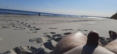 20230603_074049.jpg