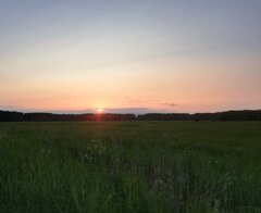 IMG_20230524_204225.jpg