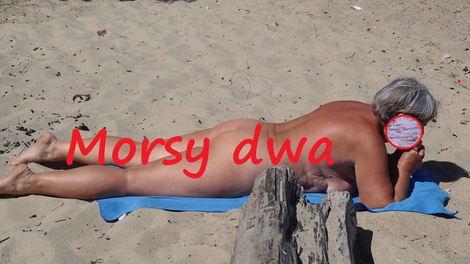 Dzisiejszy wypad nad morze. - Morsy_dwa