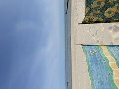IMG_2445.jpeg