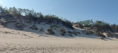 IMG_20230604_081519.jpg