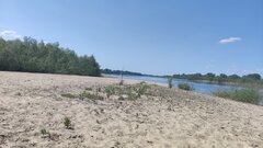 IMG_20230605_135831.jpg