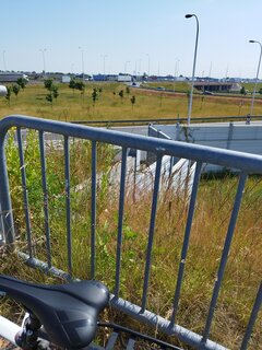 IMG_20230607_101137.jpg