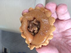 IMG_1208.jpeg