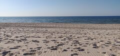 IMG_20230607_182343.jpg