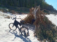 IMG_20230608_123944_3.jpg