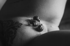 Snails